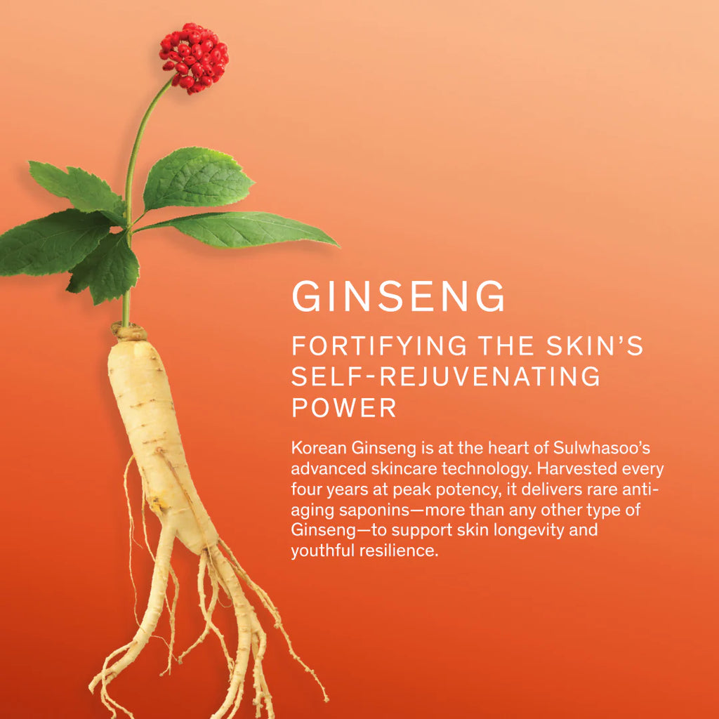 Sulwhasoo Concentrated Ginseng Rejuvenating Cream